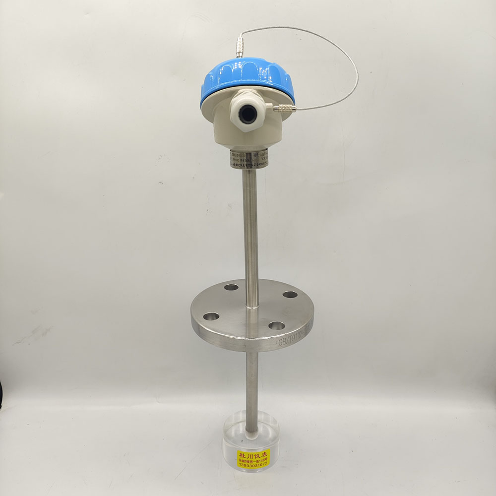 上海自動化60.431，DN25法蘭L=300x150mm,200° 帶顯示.jpg