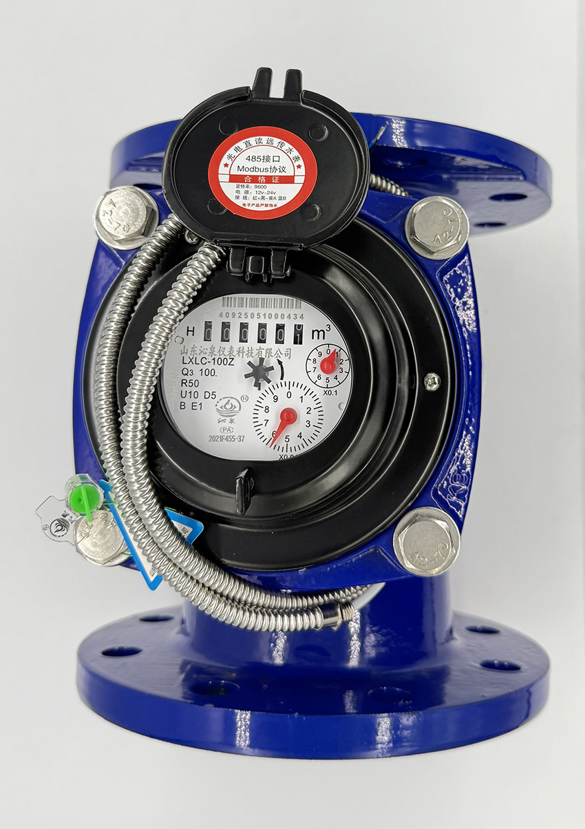 沁泉 光電直讀DN100（2）.jpg