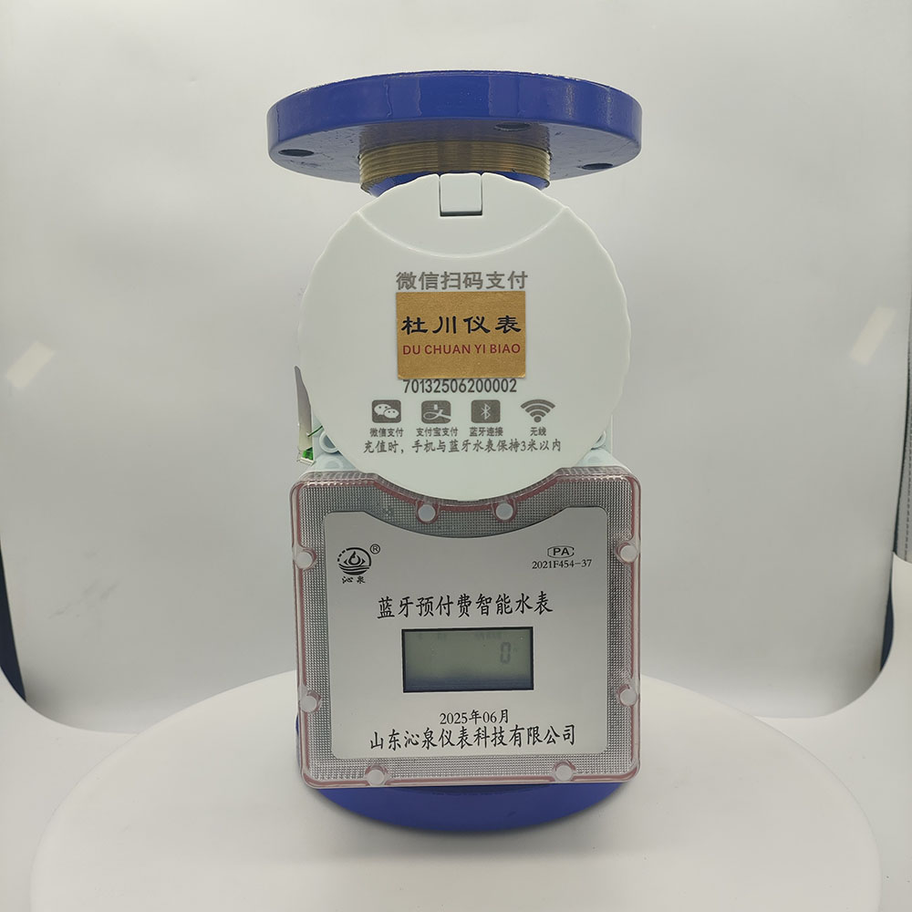 沁泉藍牙預(yù)付費智能水表，DN65，水平冷水.jpg
