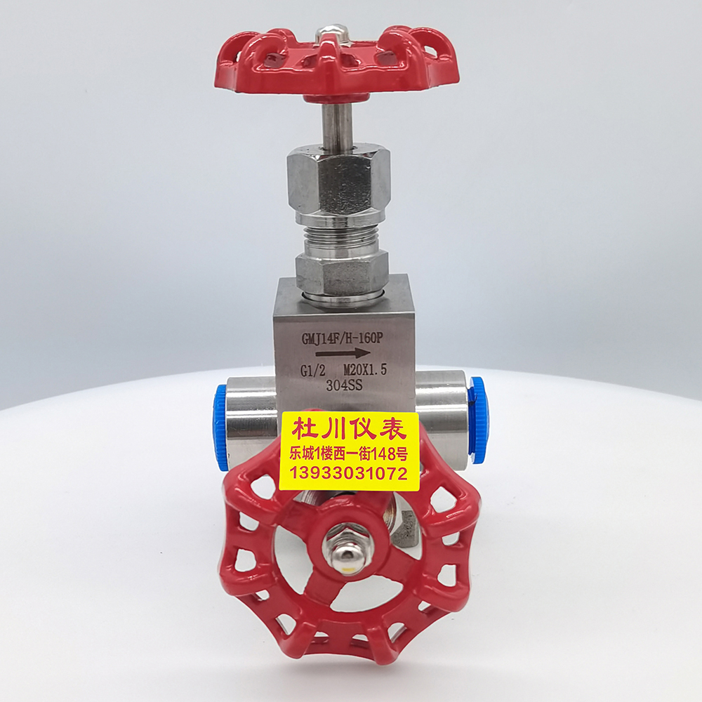 針型閥GMJ14F.H-160P，G二分之一，M20x1.5，304SS.jpg