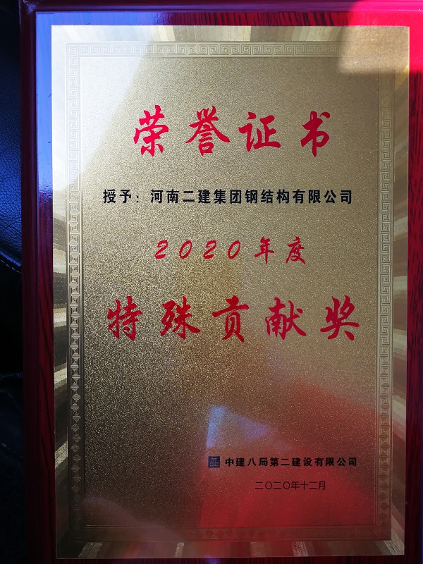 特殊貢獻(xiàn)獎榮譽(yù)證書 - 副本.jpg
